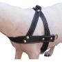 Genuine Black Leather Dog Pulling Walking Harness Medium to Large. 25.5''-31'' Chest, 1.5'' Straps
