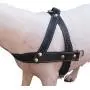 Genuine Black Leather Dog Pulling Walking Harness Medium to Large. 25.5''-31'' Chest, 1.5'' Straps Genuine Black Leather Dog Pulling Walking Harness Medium to Large. 25.5''-31'' Chest, 1.5'' Straps