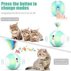 Interactive Cat Toys Ball with Colorful Light & Bird Sound - USB Charging Automatic Irregular 360 Degree Self Rotating Ball - 5 Replacement Feathers Robotic Cat Toy for Indoor Cats Kitten