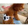 Cilkus Washable Male Dog Diapers - 2020 Male Dog Belly Wrap, Soft and Comfortable, Adjustable, Reusable Belly Bands (M-1（13''-16'' Waist）, Fashion Set)