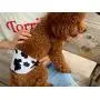 Cilkus Washable Male Dog Diapers - 2020 Male Dog Belly Wrap, Soft and Comfortable, Adjustable, Reusable Belly Bands (M-1（13''-16'' Waist）, Fashion Set)