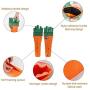 Hengu Carrot Bite-Resistant Dog Toy, Thick Oxford Cloth Cover for Plastic Bottle Self-Made Pet Toy with Sniffs Interactive Play Design, Perfect for Medium Big Dogs Chew Toy