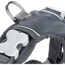 Red Dingo Padded Harness