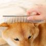 Pet Dog Cat Flea Comb, for Everyday Use for Dogs and Cats with Short or Long Hair 【4 Pack】