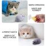 ASFC Wireless Remote Control Mouse Toy, Cheese Infrared Remote Control Simulated, Scary Friends Toys,Cats Toy (Dark Grey)