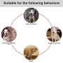 Pet Snuffle Mat for Dogs 21 x 17'', Interactive Dog Toys, Pet Snuffle Mat for Cats Dogs Bowl Travel Use, Alternative to Dog Bowls, Activity Fun Play Mat for Relieve Stress Restlessness Machine Washable