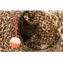 Feline Ruff Premium 3 Way Cat Tunnel. Extra Large 12 Inch Diameter and Extra Long. A Big Collapsible Play Toy. Wide Pet Tunnel Tube for Other Pets Too!