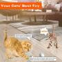 HESTIA Interactive Cat Toy Ball, Automatic Rolling Kitty Toys for Indoor Cats, USB Charging 360 Degree Self Rotating Ball,Build-in Catnip Spinning Color Led Light,with Feather/Bell Toy for Cats/Kitten
