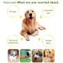 Pet Supplies Bone Shape Plastic Pet Toys with Whistle for Dogs/Cats, Random Color Delivery Pet Toys