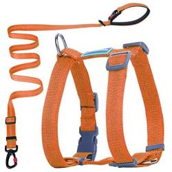 ThinkPet Reflective Adjustable Comfort Nylon Dog Halter Harness, Easy On and Off, No Choke Dog Walking Harness