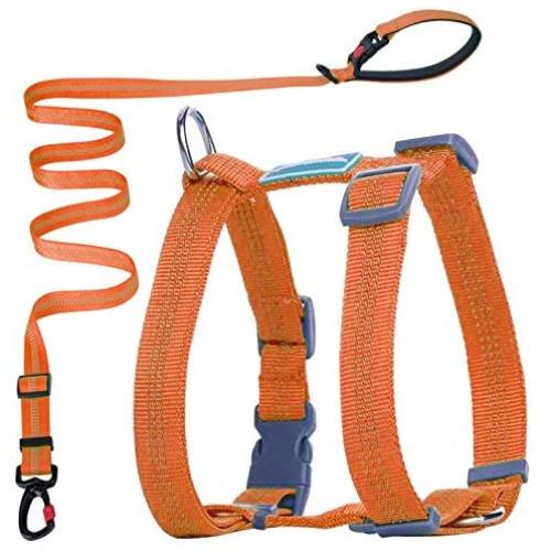 ThinkPet Reflective Adjustable Comfort Nylon Dog Halter Harness, Easy On and Off, No Choke Dog Walking Harness