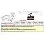Downtown Pet Supply Comfort Control Dog Walking Harness, Accessory, Collar, Padded Vest, Lightweight, No More Pulling, Tugging or Choking, for Puppies, Small Dogs Downtown Pet Supply Comfort Control Dog Walking Harness, Accessory, Collar, Padded Vest, Lightweight, No More Pulling, Tugging or Choking, for Puppies, Small Dogs