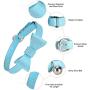 Puppy Puzzle Toys and Cat Collar Set Bow
