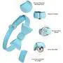 Puppy Puzzle Toys and Cat Collar Set Bow Puppy Puzzle Toys and Cat Collar Set Bow