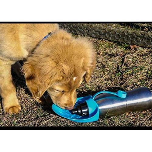 20 oz. Stainless Steel eco-Friendly, Durable Water Bottle for Small to Medium Sized Dogs, Leak Proof, Quick and Easy Silicone Bowl Flips Out for on The go pet Hydration