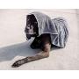 Wooflinen Microfiber Pet Bath Towel, 2-Pack, Ultra-Absorbent, Double Density, Machine Washable for Dogs and Cats