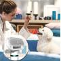 PETRIP Dog Dryer, Upgraded Dog Hair Dryer Blower, Stronger 3-in-1 Pet Hair Dryer with 2 Pet Grooming Gloves - Professional Home Pet Dryer with Slicker Brush for Medium Small Dogs Cats