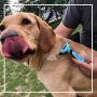 HSpet-HOME Pet Grooming Brush for Dogs and Cats Shedding Hair by up to 95%,Perfect Long & Short Hair Pet Deshedding Tool