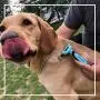 HSpet-HOME Pet Grooming Brush for Dogs and Cats Shedding Hair by up to 95%,Perfect Long & Short Hair Pet Deshedding Tool