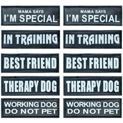 Auroth Dog Harness Patches, 10 Patches in 1 Set, Reflective and Removable Dog Harness Patches for Service Dog Vest