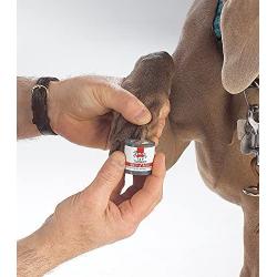 Top Performance MediStyp Holder — Durable Holder for Dispensing Styptic Powder for Dogs and Cats, Black