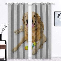 Nomorer Patio Curtains Golden Retriever Customized Drapes Panels Pet Dog Laying Down with Toy Friendly Domestic Puppy Playful Companion 108'' x 84'' Multicolor 2 Panels