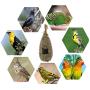 Rhfemd Hanging Birdhouse Natural Fiber Finch Bird Nest Hut Outdoor Cage Shelter Hideaway