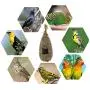 Rhfemd Hanging Birdhouse Natural Fiber Finch Bird Nest Hut Outdoor Cage Shelter Hideaway Rhfemd Hanging Birdhouse Natural Fiber Finch Bird Nest Hut Outdoor Cage Shelter Hideaway