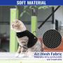PUPTECK Checkered Frills Soft Mesh Dog Vest Harness Puppy Padded Pet Harnesses for Cat Small Dogs