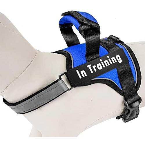 PAWDAY Dog Harness No-Pull Training Pet Harness Adjustable Reflective Breathable Outdoor Pet Vest with Handle for Dogs Easy Control for Small Medium Energetic Heavy Fierce Dog