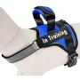 PAWDAY Dog Harness No-Pull Training Pet Harness Adjustable Reflective Breathable Outdoor Pet Vest with Handle for Dogs Easy Control for Small Medium Energetic Heavy Fierce Dog