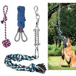 Spring Pole Dog Rope Toys with a Big Spring Pole Kit, 2 Different Twisted Cotton Rope Chew Toys and a 16ft Rope - Safe for Dogs to Pulling, Chasing, Chewing, Teasing, Training