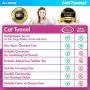 All Prime Cat Tunnel - Also Included is a ($5 Value) Interactive Cat Toy - Toys for Cats - Cat Tunnels for Indoor Cats - Cat Tube - Collapsible 3 Way Pet Tunnel - Great Toy for Cats All Prime Cat Tunnel - Also Included is a ($5 Value) Interactive Cat Toy - Toys for Cats - Cat Tunnels for Indoor Cats - Cat Tube - Collapsible 3 Way Pet Tunnel - Great Toy for Cats