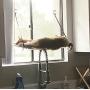 K&H PET PRODUCTS EZ Mount Window Kitty Sill