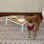 WANTRYAPET Elevated Dog Bowls Antirust Stainless Steel Raise Pet Feeder for Dog Cat