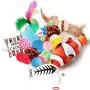 Cat Toys Variety Pack for Kitty 20 Pieces Cat Toys Variety Pack for Kitty 20 Pieces