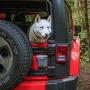 Kurgo Tailgate Dumpster for Dog Garbage & Poop Bags, Magnet Trash Bin for Cars, Attaches to Tailgate/Bumper, Car Waste Basket for Pets, Dog Travel Accessories, Easy to Clean, Charcoal Grey