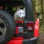 Kurgo Tailgate Dumpster for Dog Garbage & Poop Bags, Magnet Trash Bin for Cars, Attaches to Tailgate/Bumper, Car Waste Basket for Pets, Dog Travel Accessories, Easy to Clean, Charcoal Grey Kurgo Tailgate Dumpster for Dog Garbage & Poop Bags, Magnet Trash Bin for Cars, Attaches to Tailgate/Bumper, Car Waste Basket for Pets, Dog Travel Accessories, Easy to Clean, Charcoal Grey