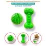 Hide a Treat Ball and Bone Treat Dispenser Toy for Dogs 2pc Ball/Bone Bundle (Green)