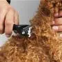 Sunglow Pet Grooming Tool ,Double Sided Shedding and Dematting Undercoat Rake Comb for Dogs and Cats ,and Comb for Flea Sunglow Pet Grooming Tool ,Double Sided Shedding and Dematting Undercoat Rake Comb for Dogs and Cats ,and Comb for Flea