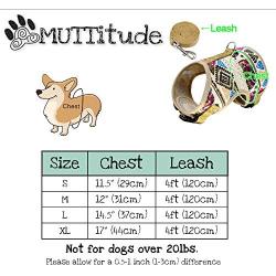 Muttitude Dog Harness & Leash Set for Small Breeds