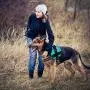 Dog Harness, Reflective No-Pull Adjustable Pet Vest with Handle for Hiking Walking, Training, Service and Outdoors - Breathable No - Choke Harness for Small, Medium or Large Dogs with Room for Patches