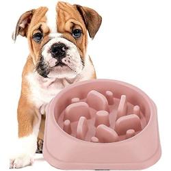 DotPet Slow Feeder Bowl, Fun Interactive Feeder Bloat Stop Dog Bowl Preventing Feeder Anti Gulping Drink Water Bowl Fan Shape Healthy Eating Diet for Pet Puppy