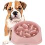 DotPet Slow Feeder Bowl, Fun Interactive Feeder Bloat Stop Dog Bowl Preventing Feeder Anti Gulping Drink Water Bowl Fan Shape Healthy Eating Diet for Pet Puppy