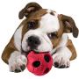 Nerf Dog Bash Rubber Wrapped Tennis Ball Dog Toy, Lightweight, Durable and Water Resistant, 3.5 Inches, for Medium/Large Breeds, Single Unit, Red