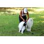 Pfaff Medical Dog Rear Carrier/Lifting Harness Blue (XL Blue)