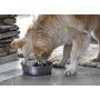 OurPets Premium DuraPet Dog Bowl
