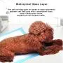 20 PCS Pee Pads - Puppy Pads XL - Wee Wee Pads for Dogs - Dog Pee Pad - Pee Pads for Dogs - Dog Pads - Puppy Pads Pet Traning Pads Training Pads for dogs Dog Pee Pads Dog Training Pad Pet Pads 20 PCS Pee Pads - Puppy Pads XL - Wee Wee Pads for Dogs - Dog Pee Pad - Pee Pads for Dogs - Dog Pads - Puppy Pads Pet Traning Pads Training Pads for dogs Dog Pee Pads Dog Training Pad Pet Pads