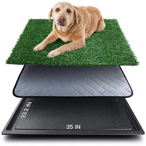 Upgrade Large Dog Grass Pad with Tray (35’’X23.2’’), Artificial Grass Mats Washable Pee Pad and Professionally Pet Toilet Potty Tray, Replacement Dogs Turf Potty Training for Indoor Outdoor Apartment