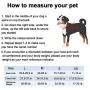 ikuso Dog Harness, No Pull Dog Harness Outdoor Vest for Dogs Easy Control for Small Medium Large Dogs